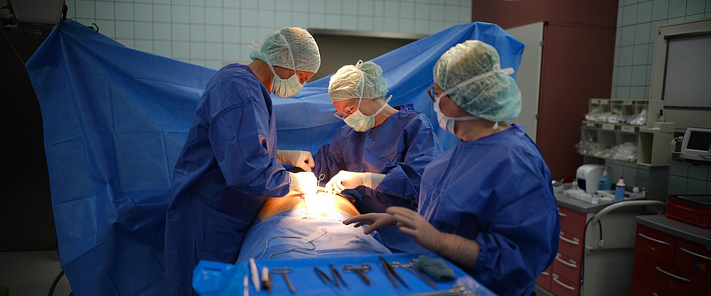 Zertifiziertes Hernienzentrum Im Krankenhaus Marienstift Braunschweig